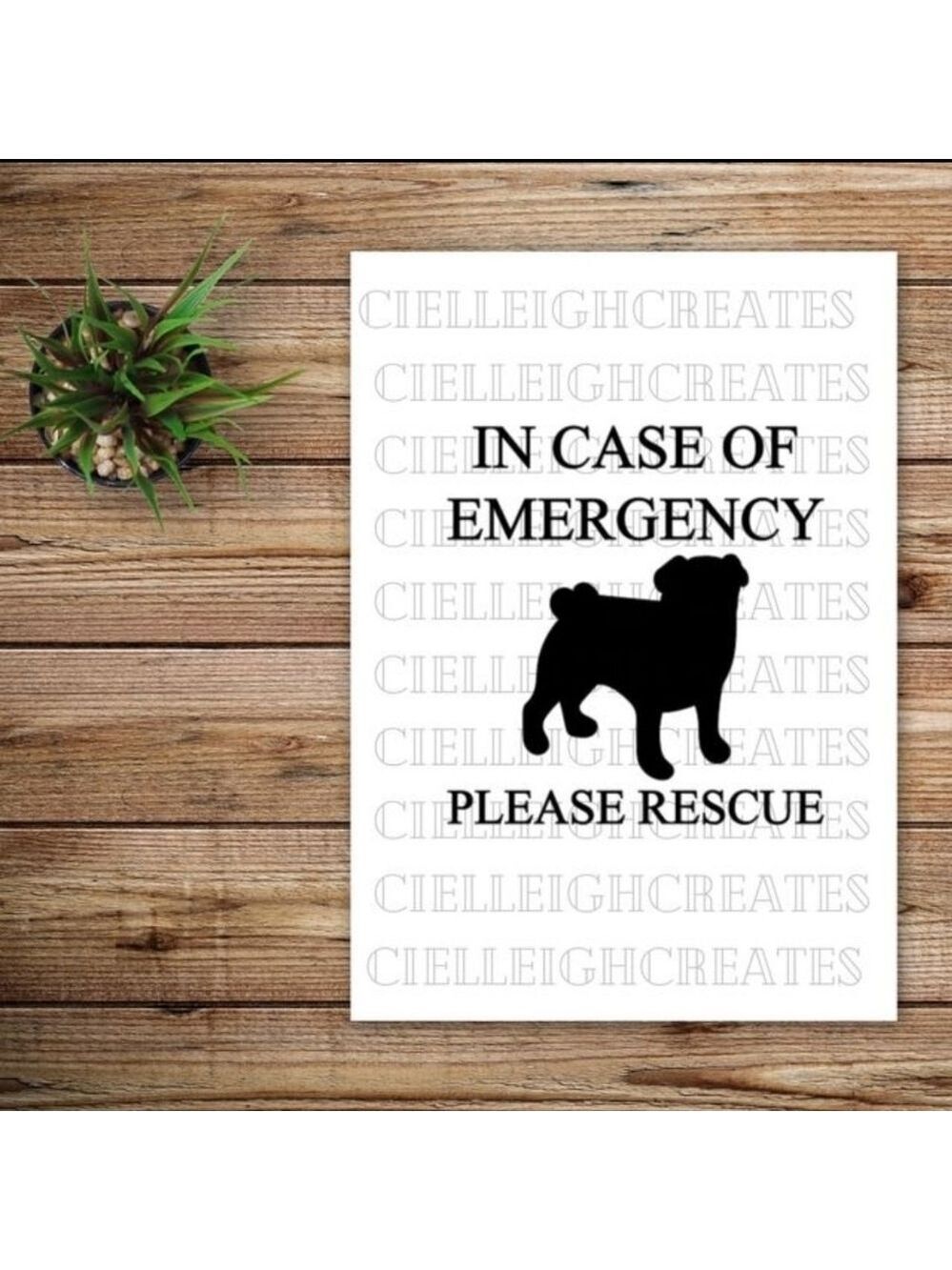 *2 for $20* In Case of Emergency Please Rescue Pug vinyl decal